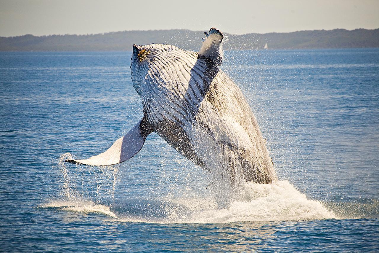 Ingenia Holidays Hervey Bay Exteriör bild